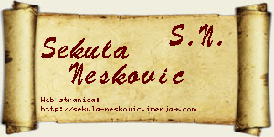 Sekula Nešković vizit kartica